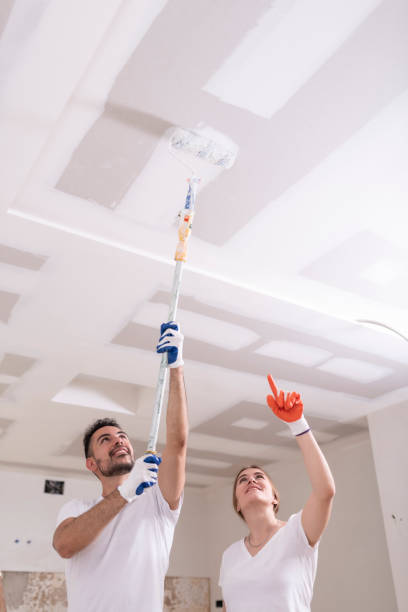 Best Ceiling Drywall Installation  in Centuria, WI